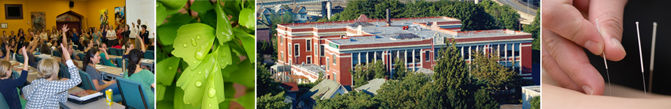National College of Natural Medicine